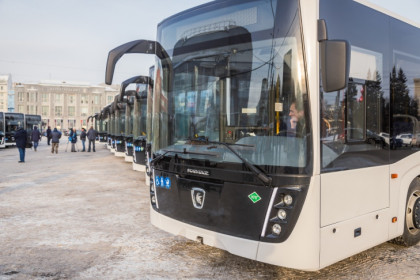 Еще 50 новых автобусов выйдут на маршруты в центре Новосибирска в августе-2022