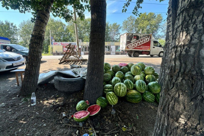 400 кг арбузов изъяли у мигрантов в Новосибирске