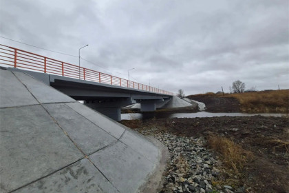 В Новосибирской области открыли движение по новому мосту через Карасук
