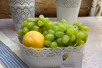 Секреты сибирских виноградарей раскрыли в «Дачной академии» Новосибирска