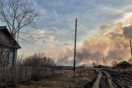 Два дома сгорело из-за пала травы в Венгеровском и Кыштовском районах