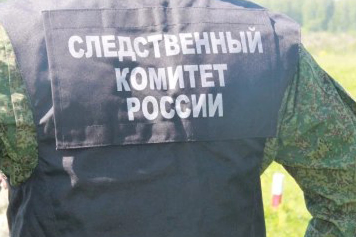 Бастрыкин запросил доклад по ситуации с забытой струной в теле ребенка