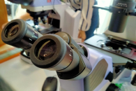 В новосибирском «Векторе» разработали новую мРНК-вакцину против гриппа