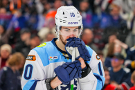 Хоккейный сезон для новосибирской «Сибири» подошел к концу