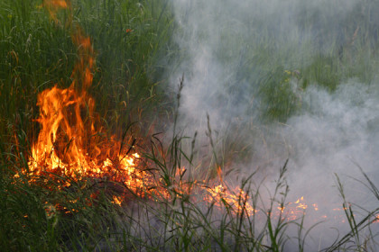 Пожарную безопасность лесов и сельхозугодий контролируют в воздухе и на земле