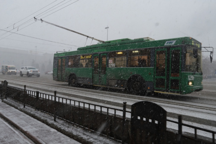 Минтранс запретил высаживать детей из общественного транспорта Новосибирска