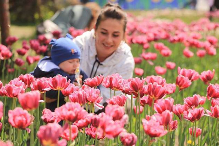 Первый фестиваль цветов начался в Новосибирске 