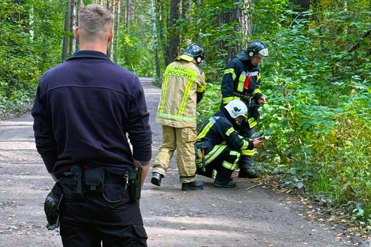 Житель Новосибирска обнаружил «растяжку» с гранатой на утренней пробежке