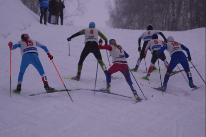 «Кубок Сибири» в Новосибирске: соревновались 236 лыжников из 19 регионов России