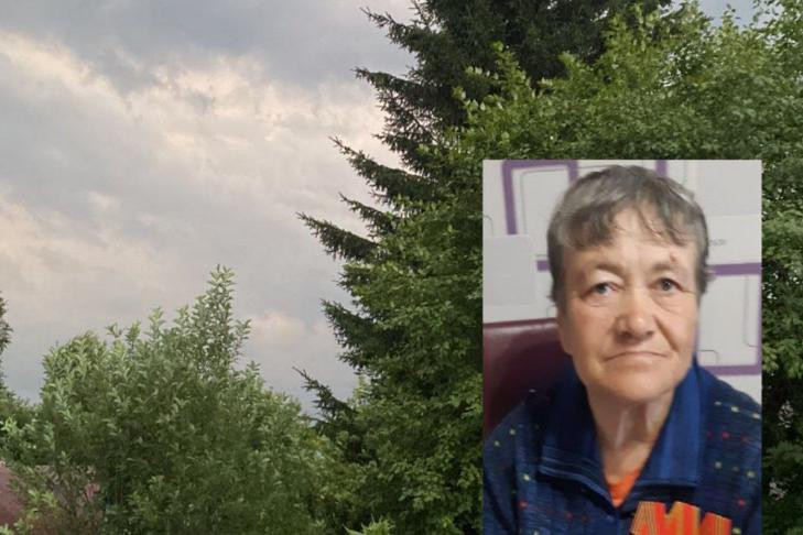 Пожилую дачницу в зеленой кепке третий день ищут в Бердске