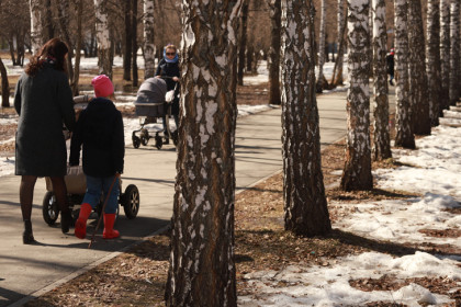Всего +3 °С: опубликован прогноз погоды на март-2026 в Новосибирске