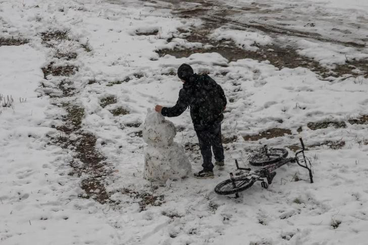Сроки школьных каникул в октябре-2025 уточнили в мэрии Новосибирска