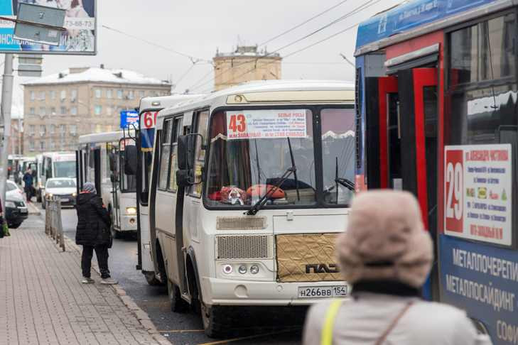 Рекордное число автобусов получат районы Новосибирской области до конца 2023 года