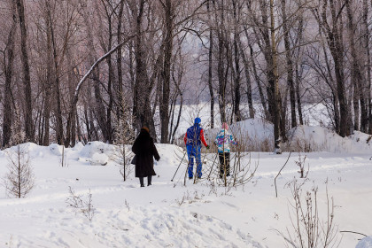 Скандальную лыжню от парка «Арена» в Новосибирске сократят из-за соседства со стрельбищем