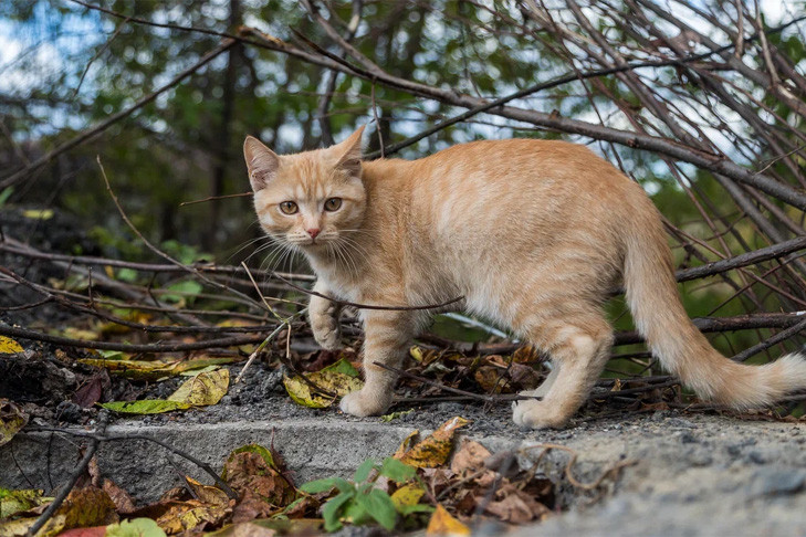 Прогноз погоды на 30-31 августа в Новосибирске сделали синоптики