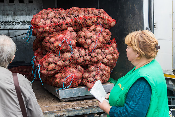 Сто тысяч тонн картошки завезут в Новосибирскую область для нужд жителей