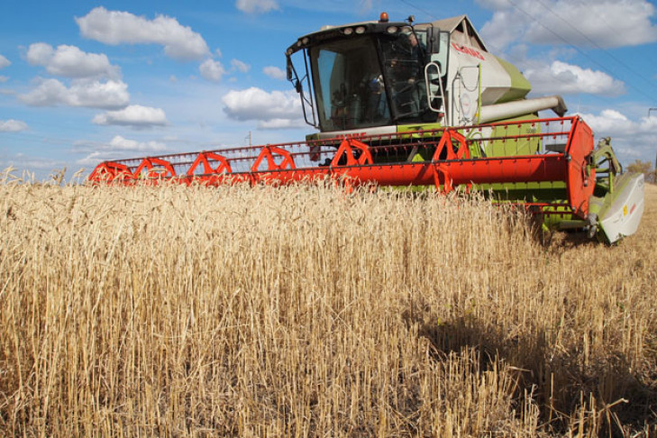 Борьба за урожай приведет к рекордной дефляции — СМИ 