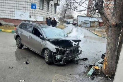 За гибель пассажира в ДТП с деревом судят автомобилиста в Новосибирске