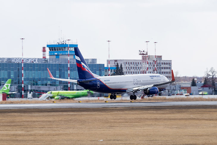 Вред болотам от аэропорта Толмачево в Росприроднадзоре оценили почти в 1 млрд