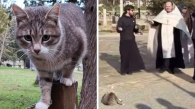 Освящённый на Пасху кот из Севастополя стал звездой соцсетей
