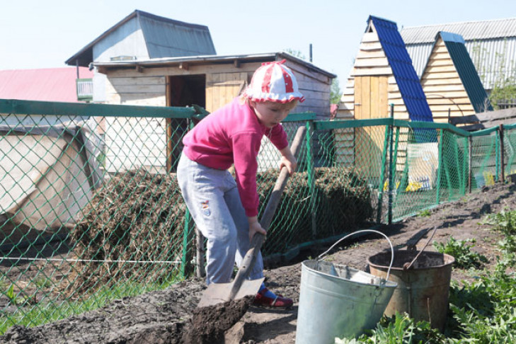 Товары для дачи и сада в Новосибирске