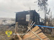 В Кыштовском районе в пожаре погибла мать с двумя детьми