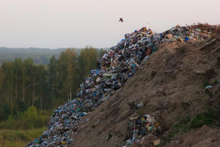 Плата за вывоз мусора вырастет в Новосибирске