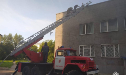 Трое подростков застряли на крыше в Новосибирске
