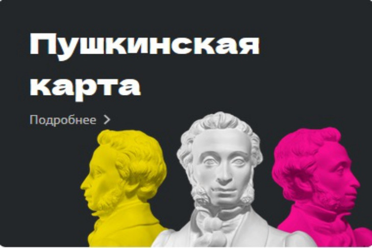 Двадцать два млн рублей на «Пушкинской карте» заработали мошенники в Новосибирске