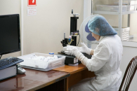 В Новосибирске наблюдается увеличение числа случаев энтеровирусной инфекции