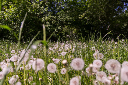 Мокрый снег и заморозки: об аномальном холоде 27 мая предупредили новосибирцев