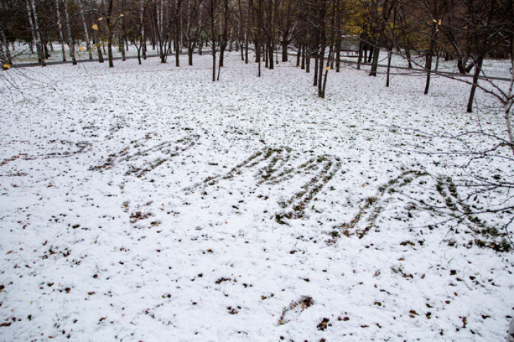 Погода 2-4 ноября в Новосибирске: снег уже не растает