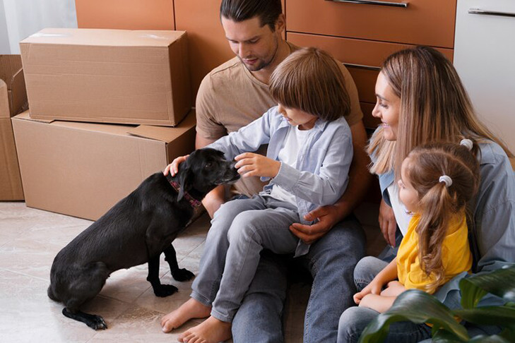 В Новосибирской области число pet-friendly квартир и домов для посуточной аренды за год выросло на 38%