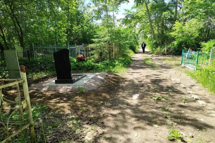 Полторы тысячи деревьев снесли на кладбищах в Новосибирске