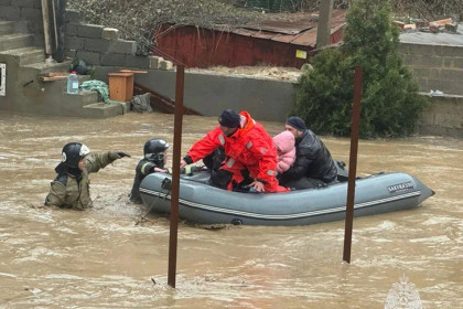 Авито берет на себя расходы на доставку товаров в Дагестан