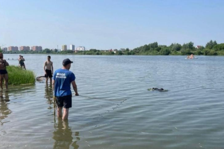 Дно с арматурой: тайну Озера смерти на Юго-Западном раскрыли в Новосибирске