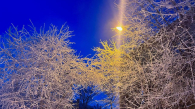Морозы до -52 градусов ожидаются в Новосибирской области в январе