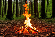 С 20 апреля в Татарском округе начнется пожароопасный сезон