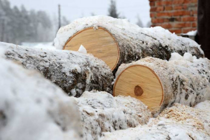 Ипподромскую  в Новосибирске зачистили от деревьев на 3 миллиона рублей