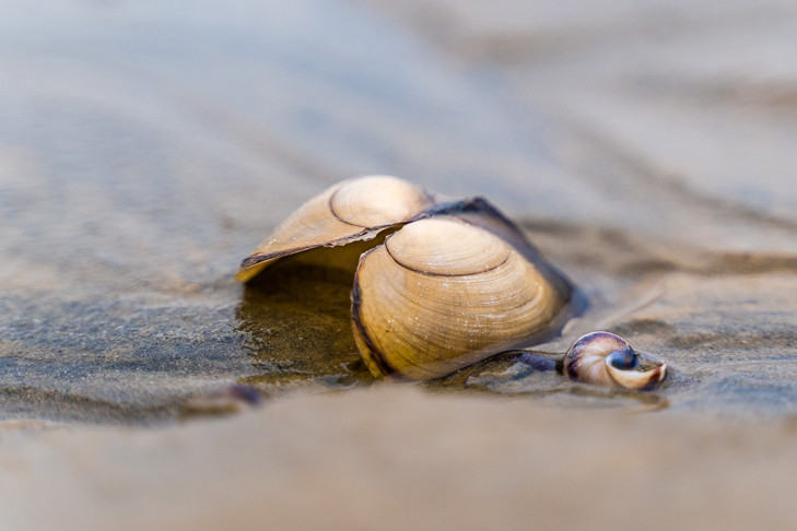 Новосибирцы назвали лучший месяц для отпуска в 2025 году