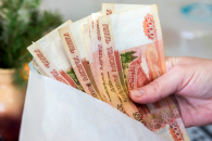 Меры поддержки жителей за изъятых животных утвердили в областном правительстве