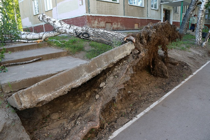 Ущерб от урагана посчитали в мэрии Новосибирска