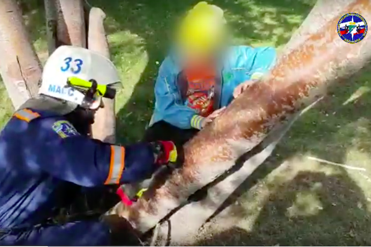 Спасатели вытащили мальчика, застрявшего между деревьями в парке Новосибирска