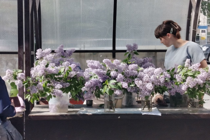 Ботаник Гижицкая назвала новосибирцам главное правило букетов сирени