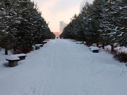 В самую длинную ночь в году в Новосибирской области ожидается до -37 градусов