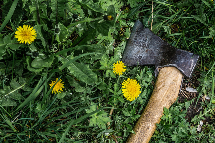 Тройное детоубийство совершила мать с шизофренией в Сибири