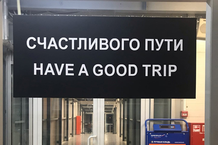 Самолет Новосибирск-Норильск вынужденно вернулся в Толмачево