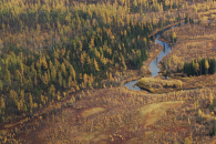 Новосибирская область вошла в число лидеров Сибири по числу лесных беспилотников