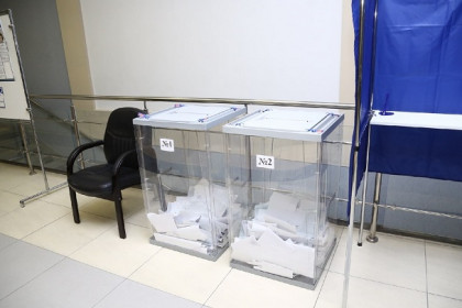 Горизбирком провел проверку голосования на участке № 1833 - нарушений не установлено