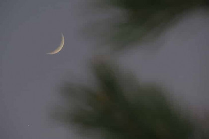 Поцелуй Венеры и Луны сфотографировали над Новосибирском в ночь на 24 мая